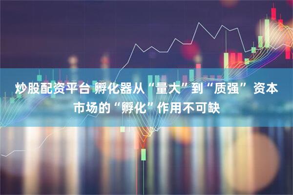 炒股配资平台 孵化器从“量大”到“质强” 资本市场的“孵化”作用不可缺
