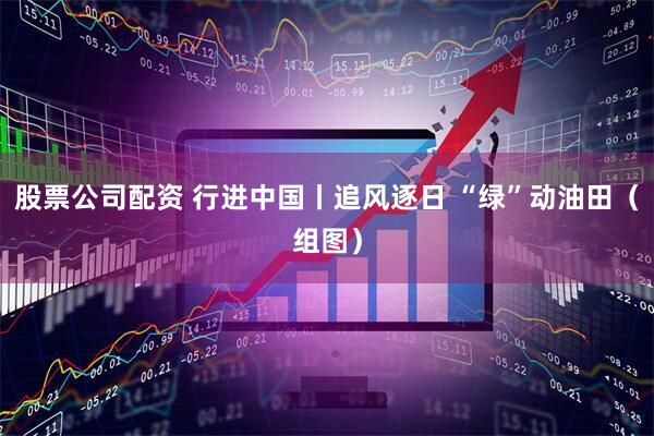 股票公司配资 行进中国丨追风逐日 “绿”动油田（组图）